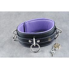 ������� ���������� ������� � ���������� ��������� 
�����������: �������� - ������� � ���������-����������� � ������������ ������� ���������, � �������� ��� ��������.