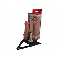   Harness    - - 19 . 
    Harness,   .
