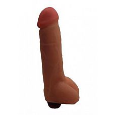 ������������ �������� � �������� - 26 ��. 
��������-��������� ��������� �����.