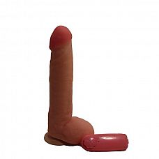 ��������� ��������-���������  � �������� ������ - 25 ��. 
������������ ��������� ����� �� �������� � �������� ������.