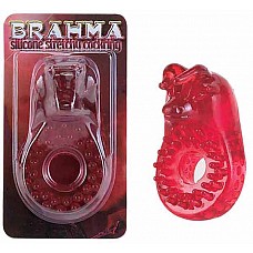  *BRAHMA* 
           * *.          * *,           -    .       ,      .

