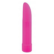    BASICX MULTISPEED VIBRATOR PURPLE 5INCH - 13 . 
   BASICX MULTISPEED VIBRATOR PURPLE 5INCH.
