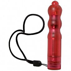  Savanna Bullettes  - 9,5 ,  
   ,    ,    .