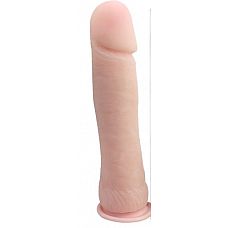    The Big Penis - 24 ,  
   ,  ,  .