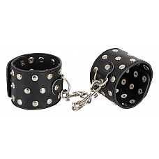 ��������� Bad Kitty � ��������� �������� �� ���� ��������� 
��������� Bad Kitty � ��������� �������� �� ���� ���������.