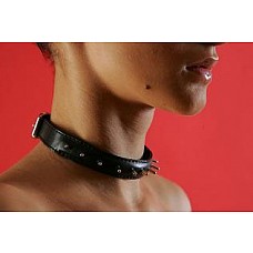 ������� ����� (������������) 
������� ����� ����������� � ������. ���� ������������ , � ������������ ������������ ���������. ��������� ����� ��� ������ ����, �������� � ����������� ����. ������ �������������. ������ ������.