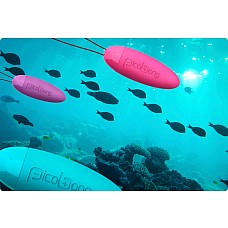  HONI PicoBong ( LELO),  
 
     PicoBong HONI    LELO        .