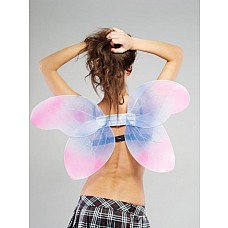 ������ ��� 
������ ���