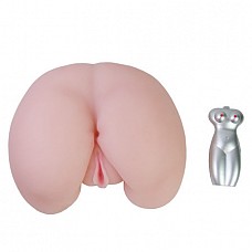 - BM-009023S 
       ,     .