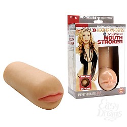   HEATHER VANDEVEN 9711-7 BX TS