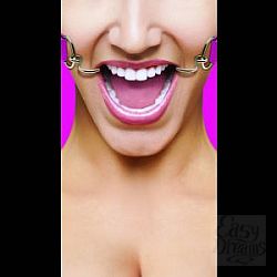 Розовый расширяющий кляп Hook Gag Розовый расширяющий кляп Hook Gag