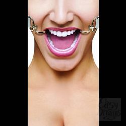  ����� ����������� ���� Hook Gag