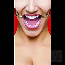 Красный расширяющий кляп Hook Gag Красный расширяющий кляп Hook Gag