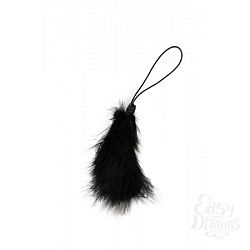      SCANDAL BLACK FEATHER GWP