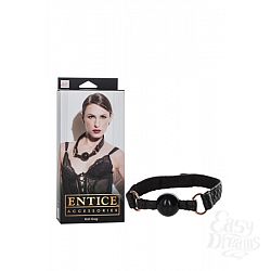  ���� ������ Entice Ball Gag