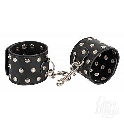  ��������� Bad Kitty � ��������� �������� �� ���� ���������