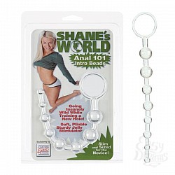  �������� ������ Sw Anal 101 Intro Bds Clr 1314-00CDSE