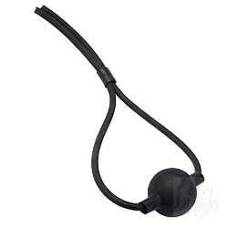  ���� �� �������� ������ BALLGAG
