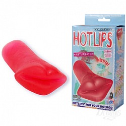  - HOTLIPS 7031-01 BX DJ