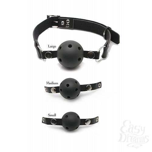 ���������� 1:  ���� � ����������� Ff Ball Gag Training System