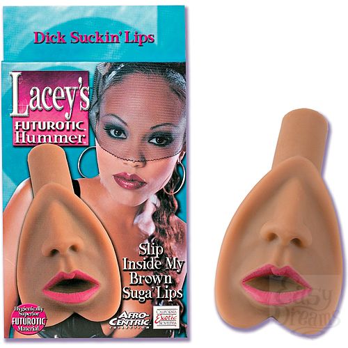  1:  - LACEY 906-03 BX SE