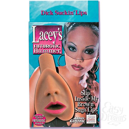  3  - LACEY 906-03 BX SE