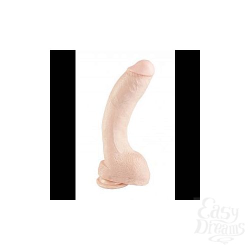 ���������� 1:  ������������ ������������� - ����� ����� ������ ���������