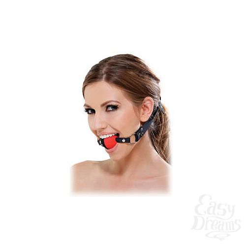 ���������� 1:  ������� ���� Two Tone Ball Gag
