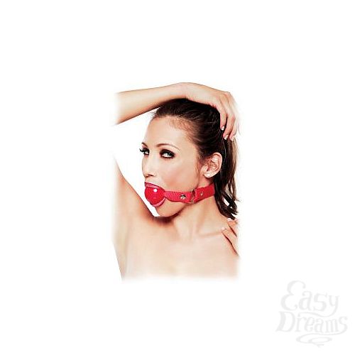���������� 1:  ���� Ruby Ball Gag