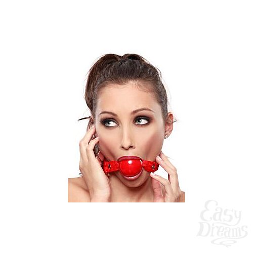 ���������� 2  ���� Ruby Ball Gag