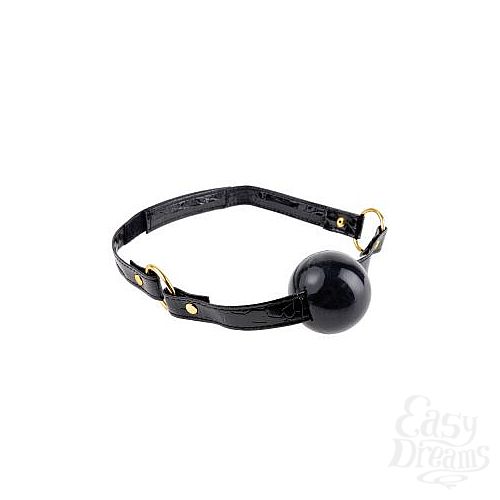 ���������� 1:  ���� Ball Gag