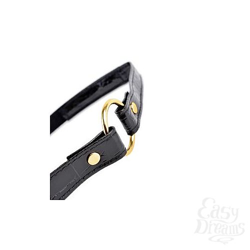 ���������� 4  ���� Ball Gag