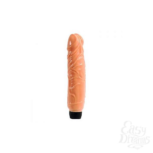���������� 1:  �������� �������� P-SHAPE - 25,5 ��.