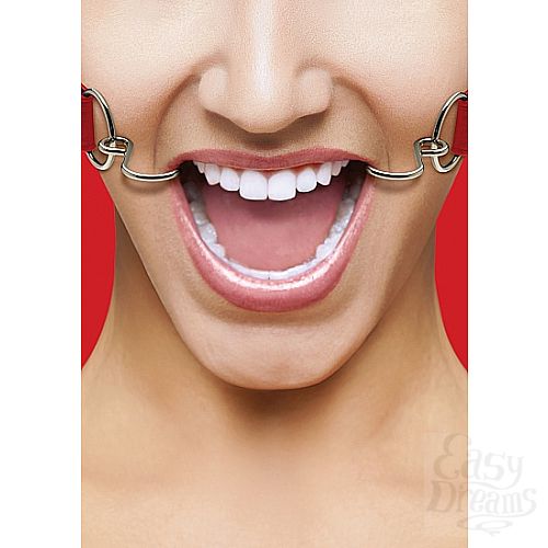 ���������� 1:  ���� OUCH! Hook Red SH-OU106RED