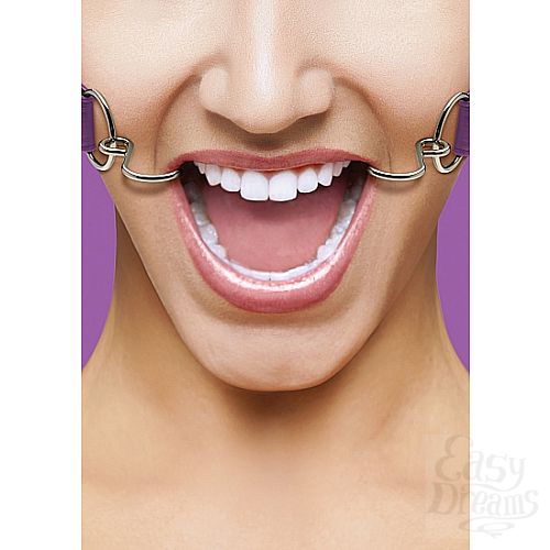 ���������� 1:  ���� OUCH! HookPurple SH-OU106PUR
