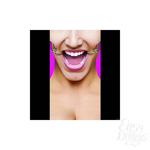 ���������� 1:  ������� ����������� ���� Hook Gag