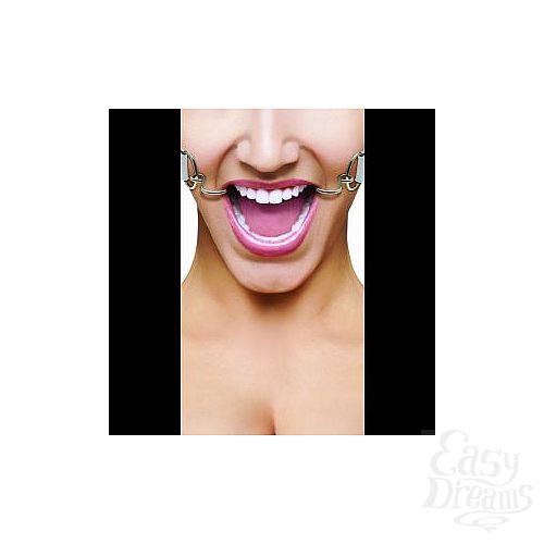 ���������� 1:  ����� ����������� ���� Hook Gag