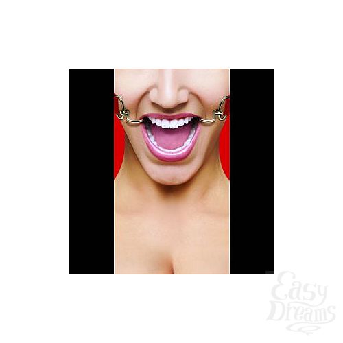 ���������� 1:  ������� ����������� ���� Hook Gag