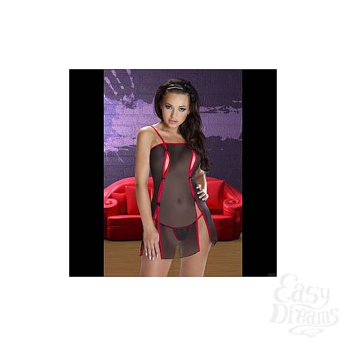 ���������� 2  ������ ������� Rina � ���������� �������� � ���������