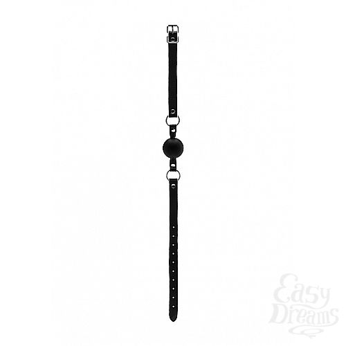���������� 1:  ���� BAD ROMANCE Black SH-BAD008