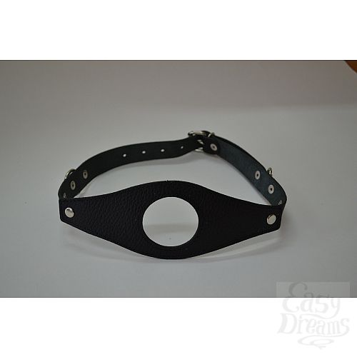 ���������� 1:  ���� ������ 3098-1