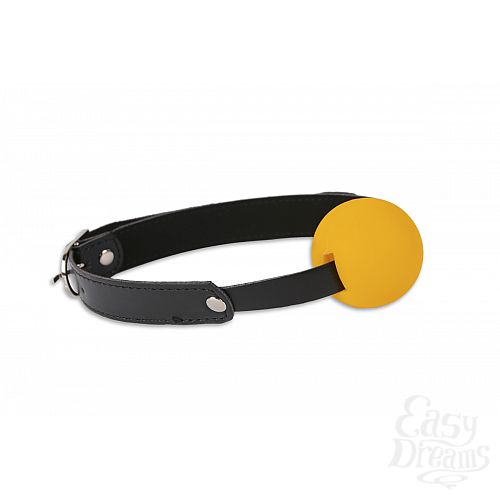 ���������� 1:  ���� � ������ �������, ������