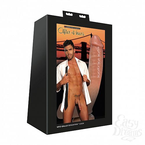 ���������� 1:  ������������� �� �������� ������ �����-������ Vito Gallo 