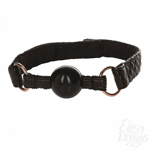 ���������� 1:  ׸���� ���� Entice Ball Gag
