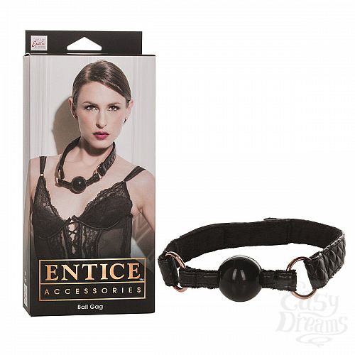 ���������� 2  ׸���� ���� Entice Ball Gag