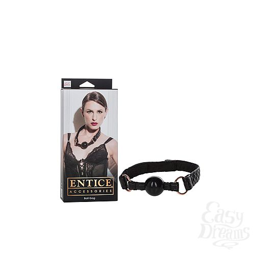 ���������� 1:  ���� ������ Entice Ball Gag