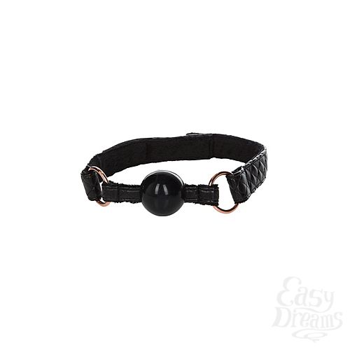 ���������� 2  ���� ������ Entice Ball Gag