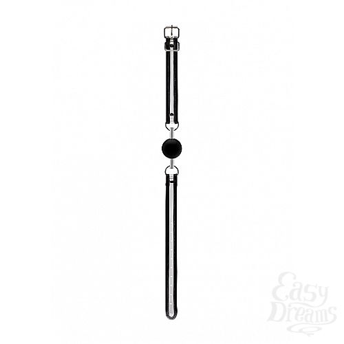 ���������� 1:  ���� � ���� ������