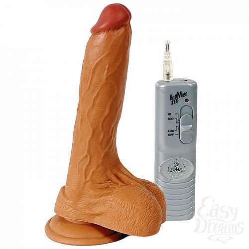 ���������� 2  ������������ �������� MORPHEUS DREAMER - 19 ��.