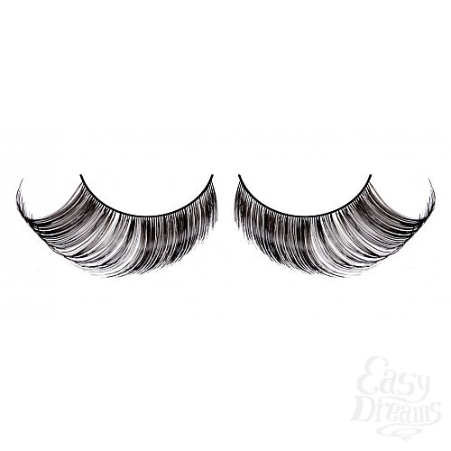 ���������� 1:  ������ �������-�����